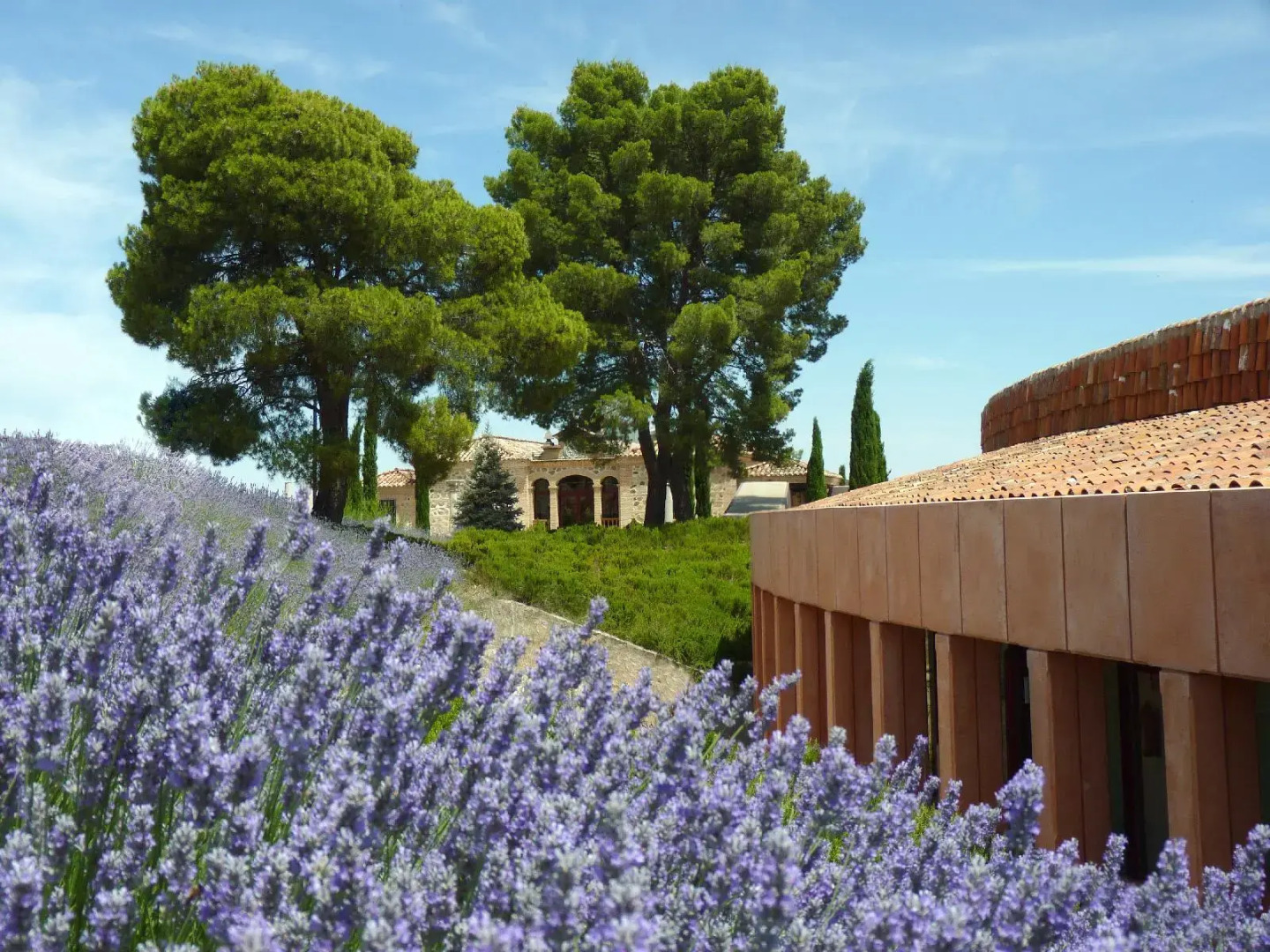 Hotel Cigarral El Bosque