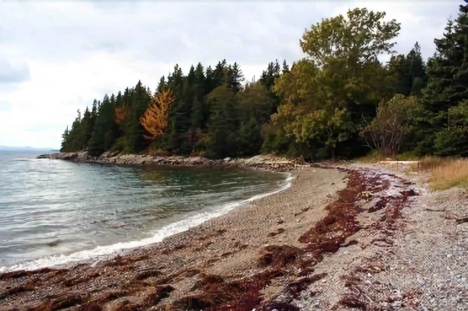 Murfey Cottage - Two Bedroom Home