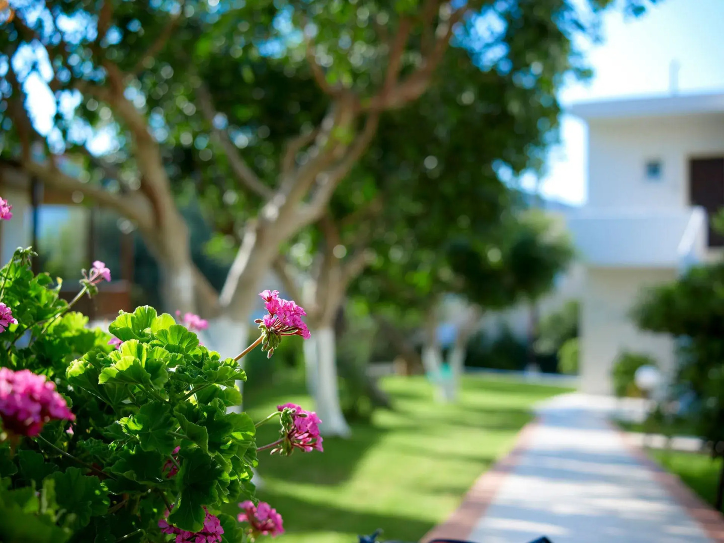 Eurohotel Katrin Hotel & Bungalows