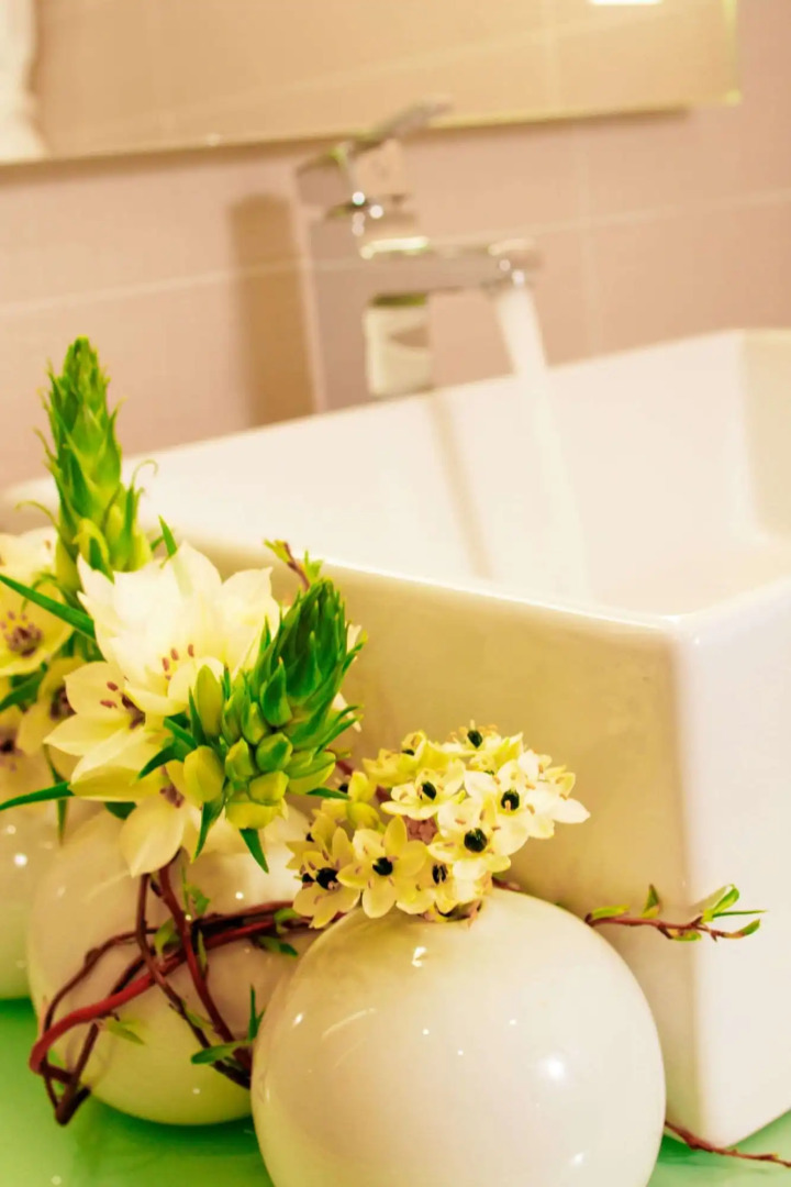 Appart-Hôtel Clément Ader