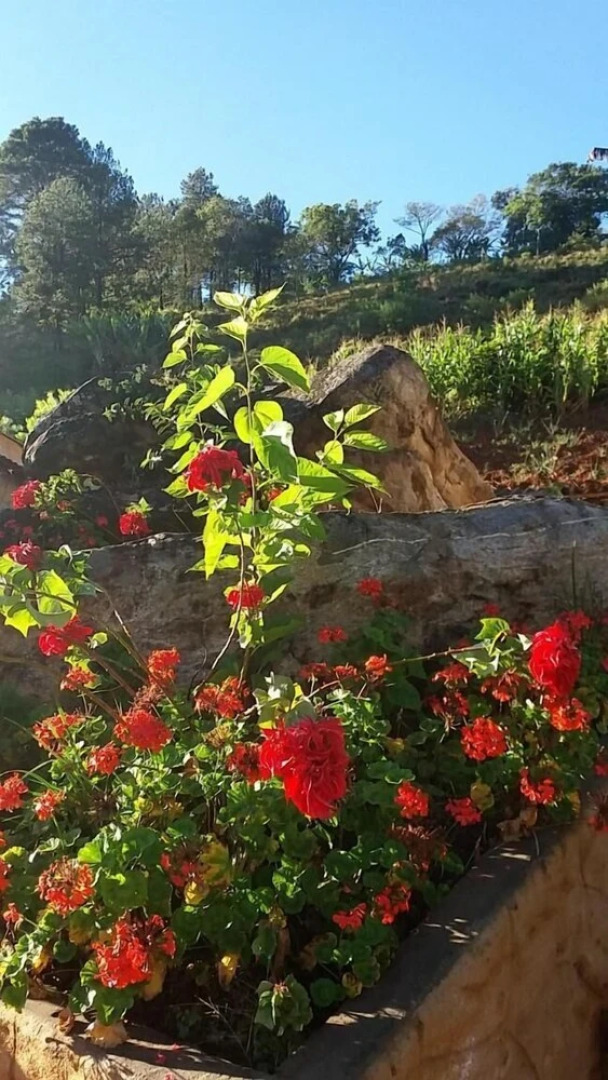 Pousada Vale da Serra