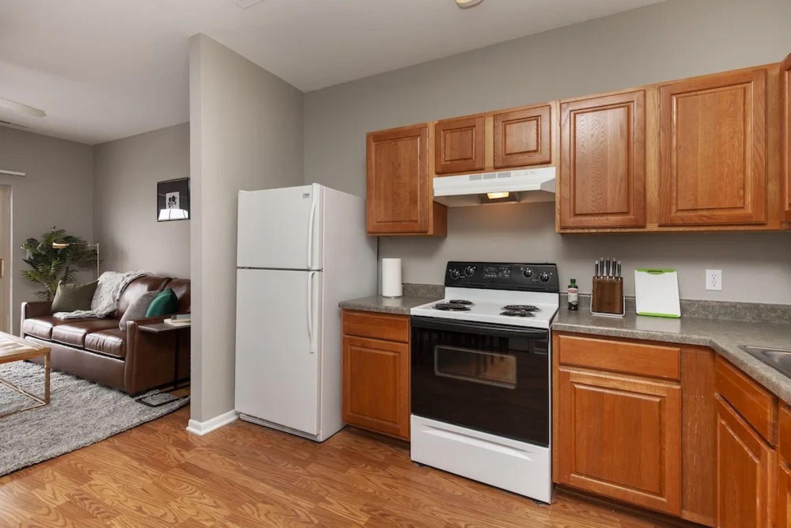 The Modern Flats of Ames