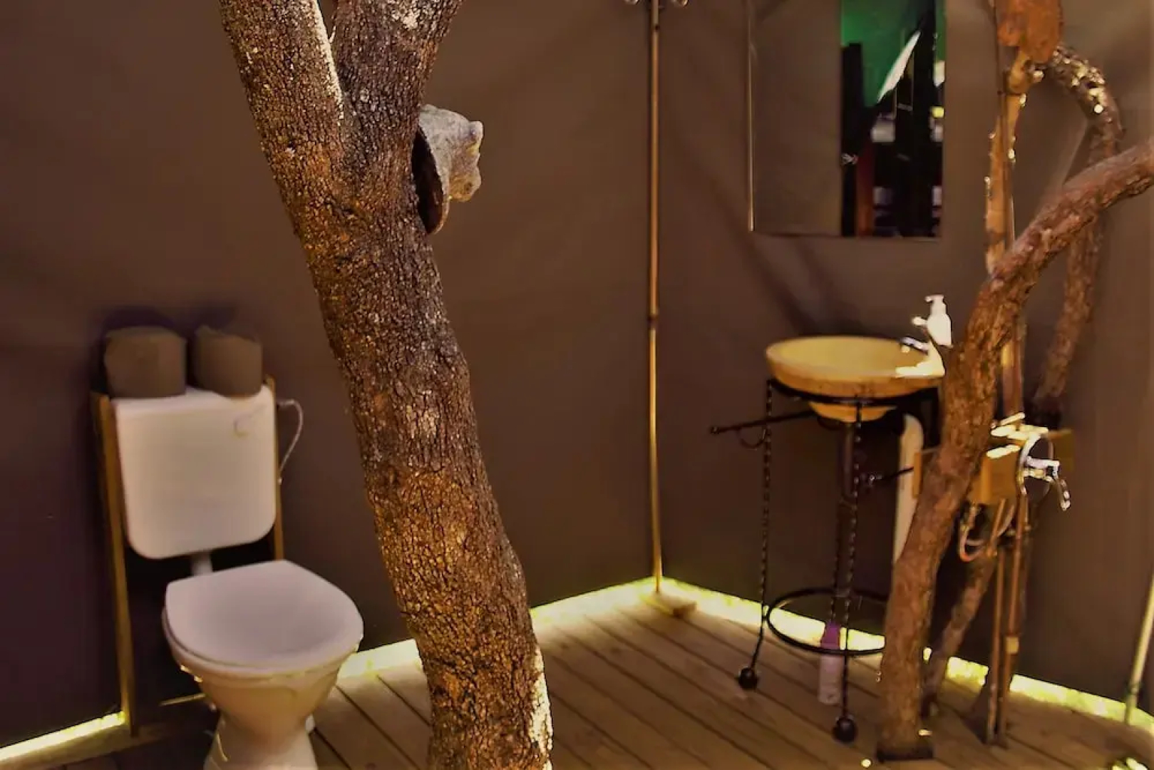 Thorn Tree Bush Camp