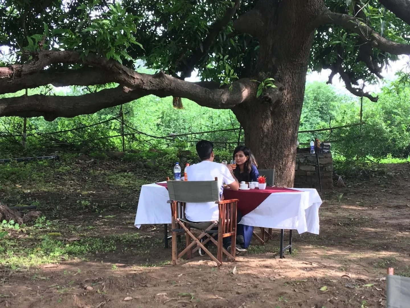 Castle Narela Hotel & Resort