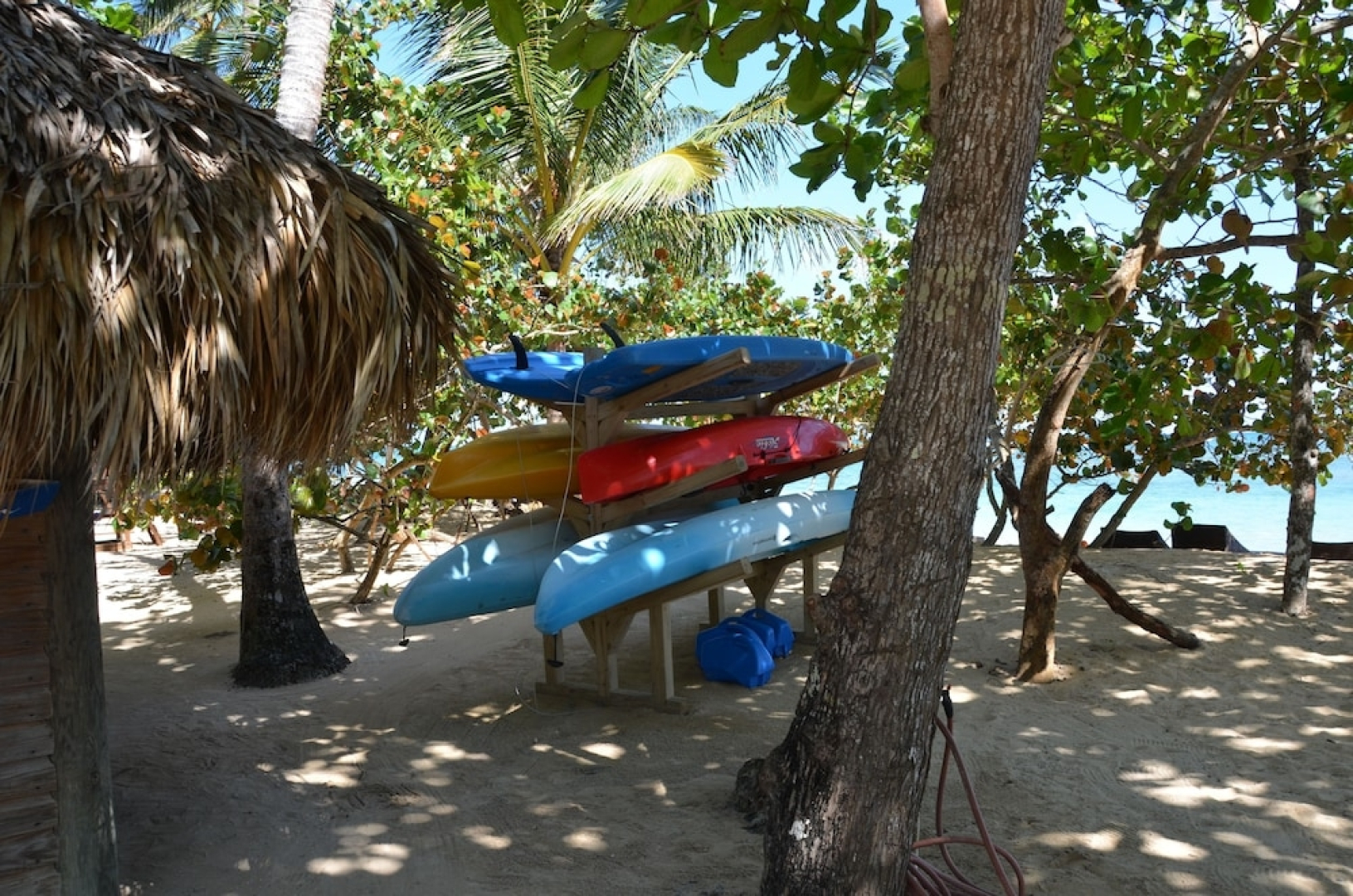 Magic Nature at Las Terrenas