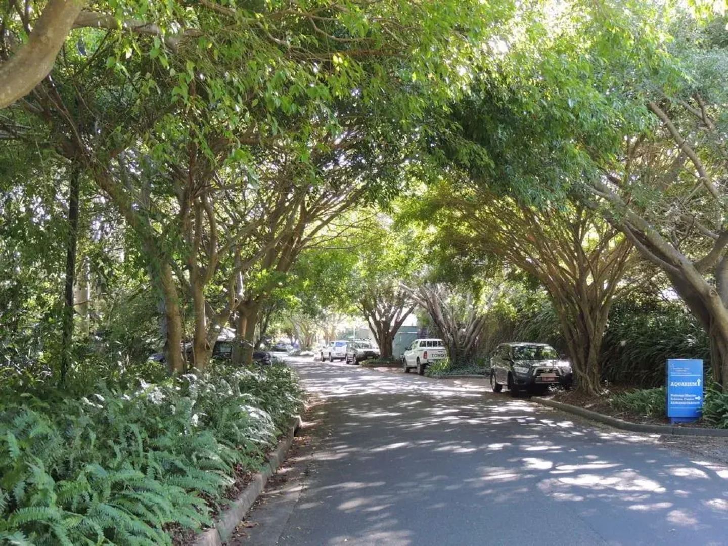 Pacific Bay Terraces