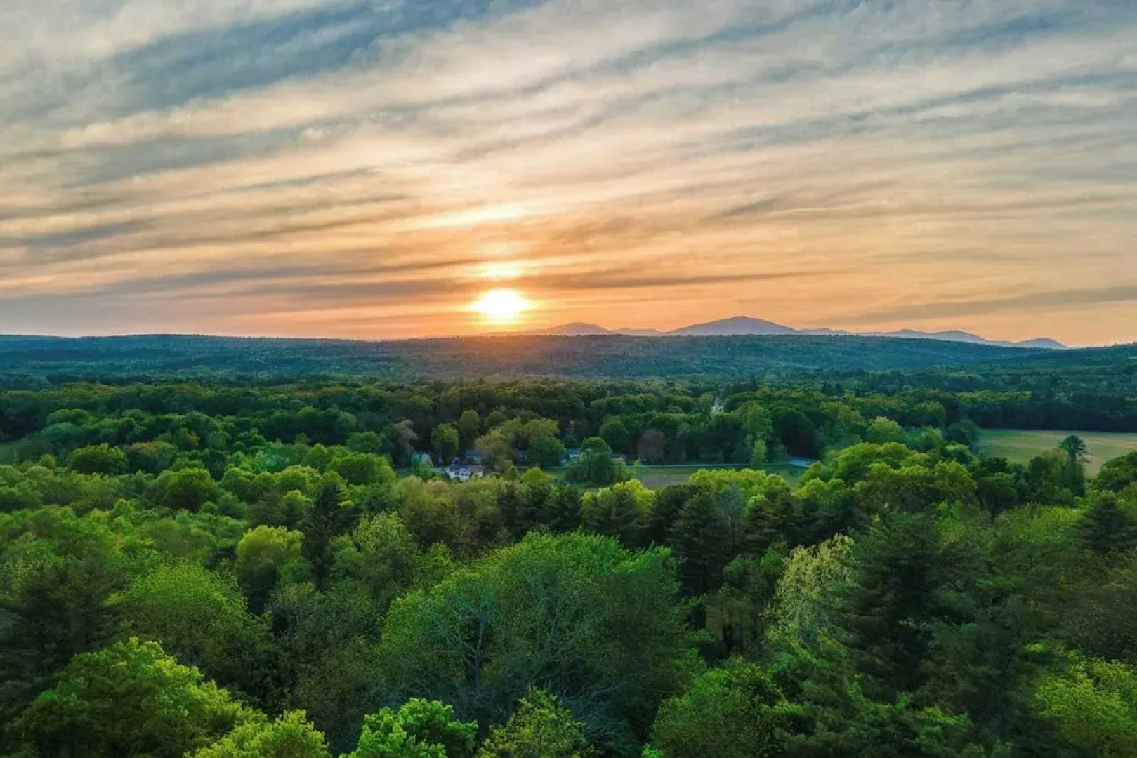 Relax in Style at Historic Modern on Main With Modern Amenities & Wooded Views