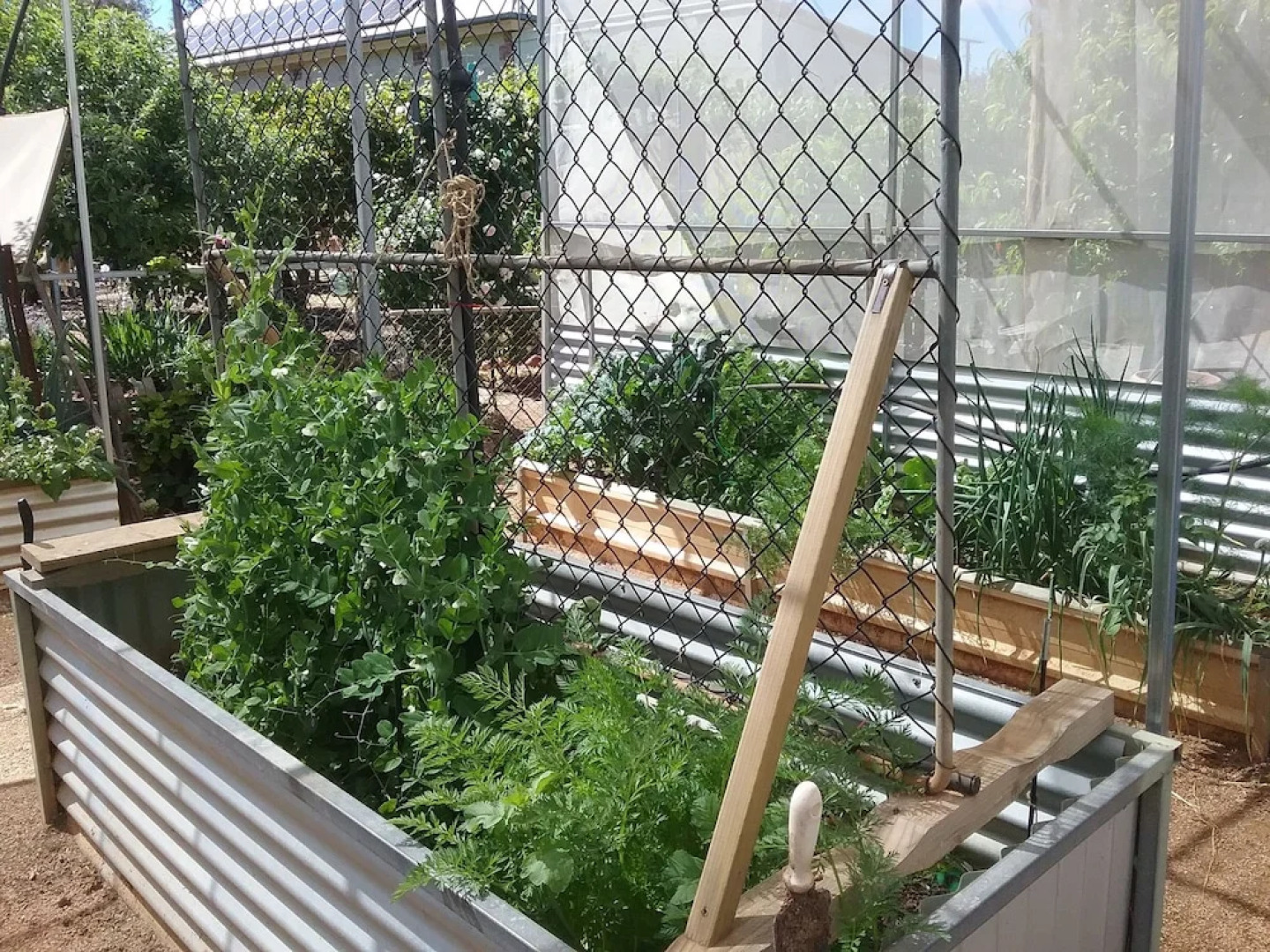 Cherry Tree Lodge Bed and Breakfast