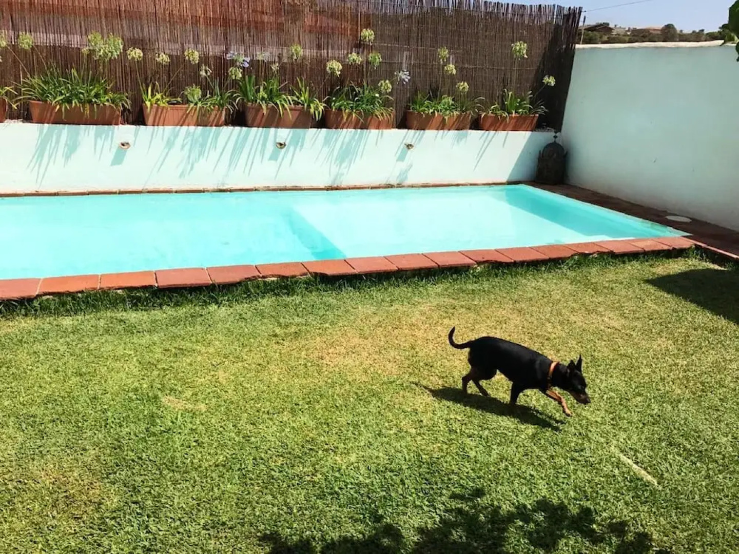 Villa With 2 Bedrooms in San Roque, With Private Pool, Furnished Garden and Wifi Near the Beach