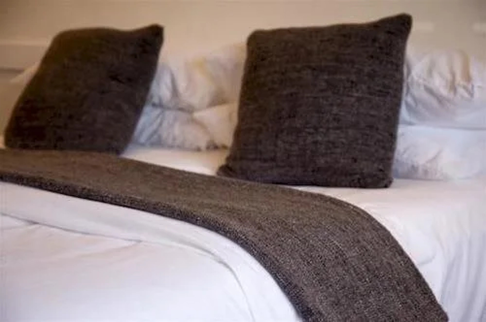 Biota Dining & Rooms