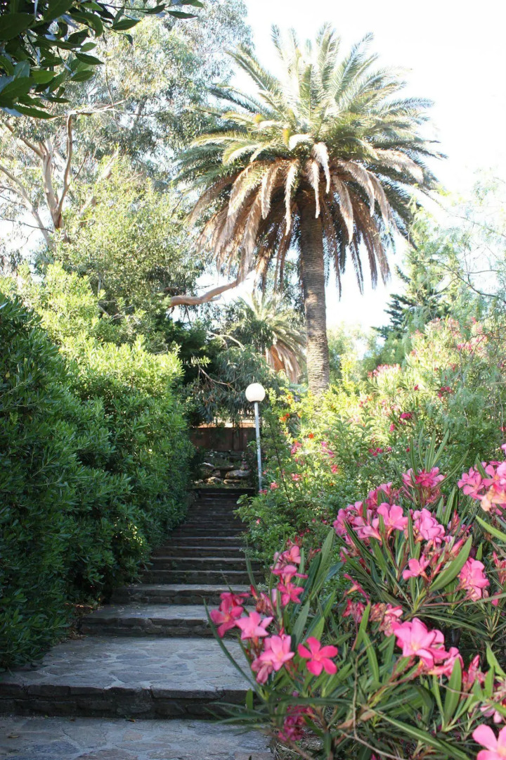 Domaine De La Pinede