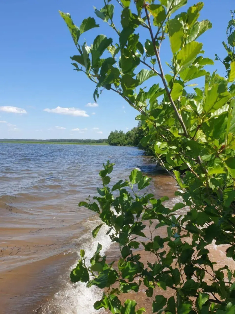 Гостевой дом на озере Сиг