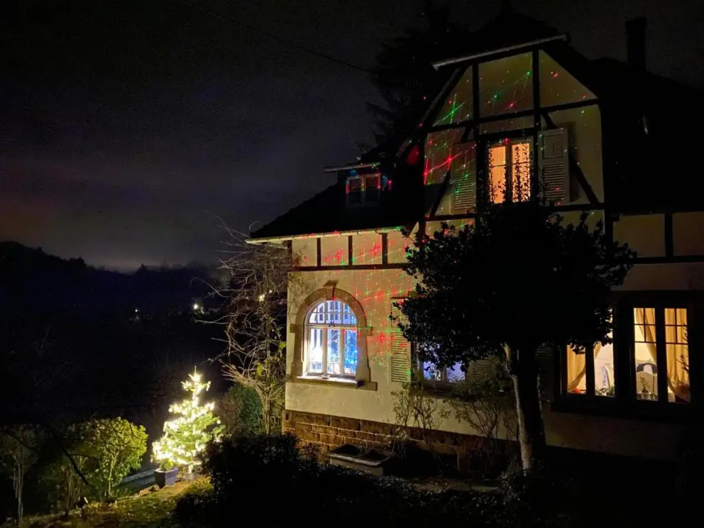 La Villa des Oiseaux - La Petite Pierre