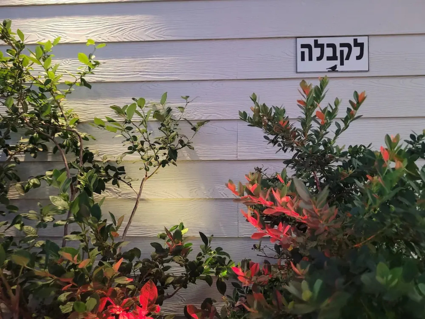 Boutique El Rom  - Hostel