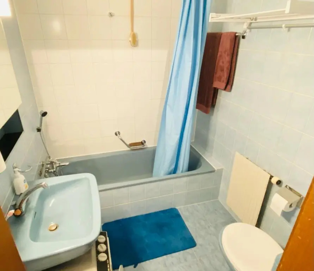 Lovely family apartment for discovering Valais