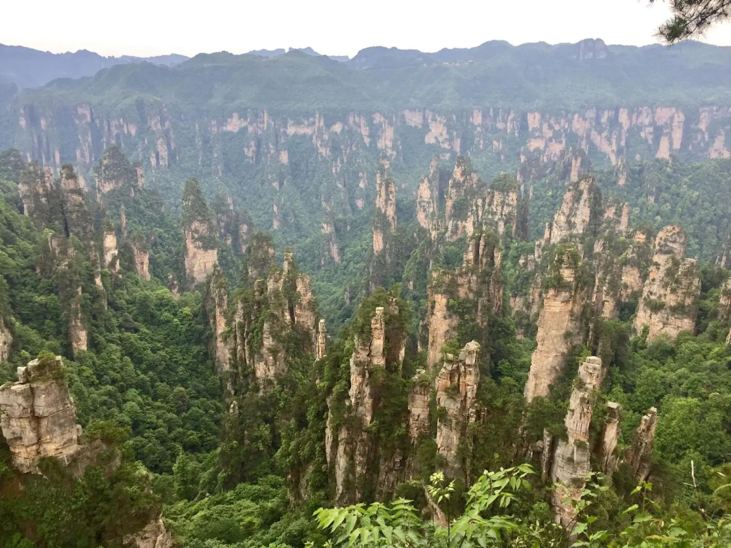 Xinwu Shanju Resort Guesthouse