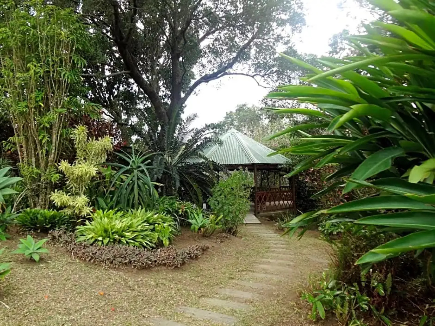 Bushbuck Lodge Southbroom