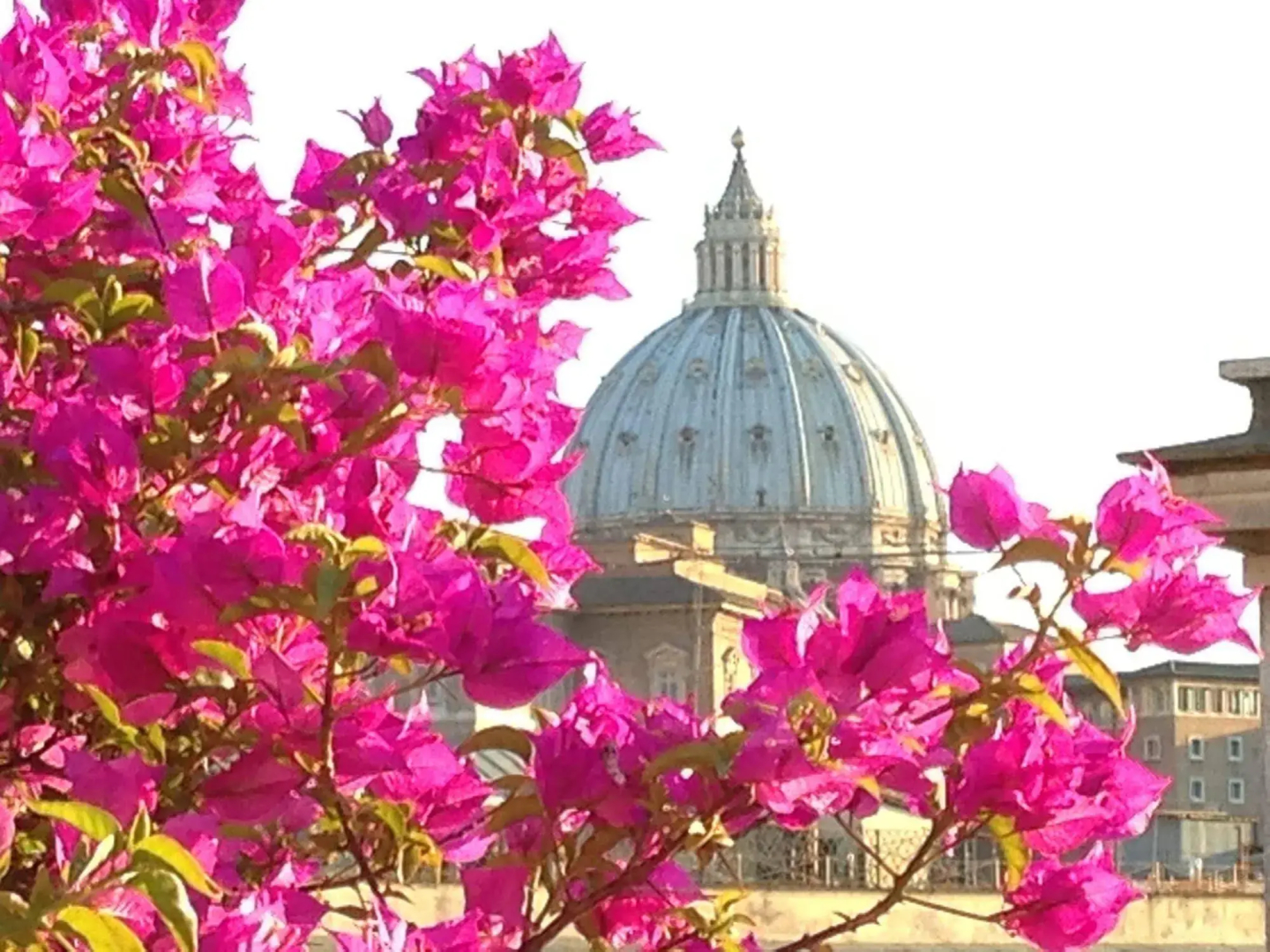 Dei Consoli Vaticano Hotel and Depedance
