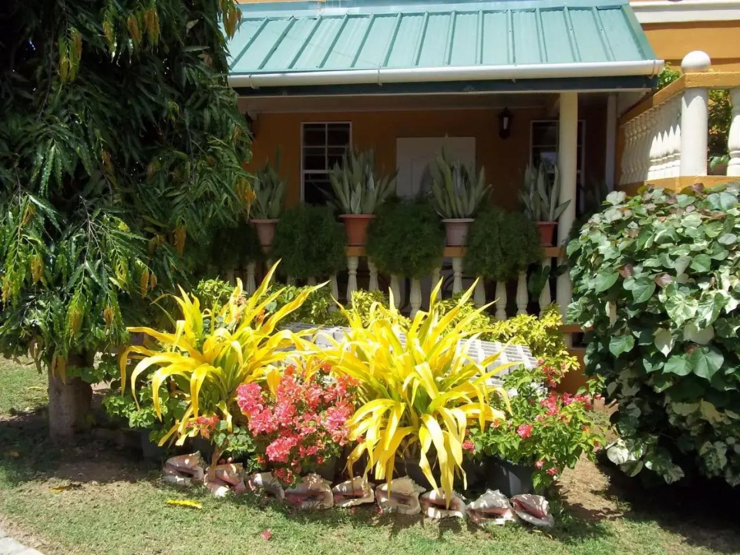 Reef View Apartments