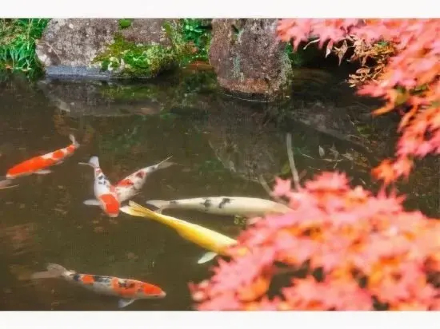 Yugawara Onsen Seiranso