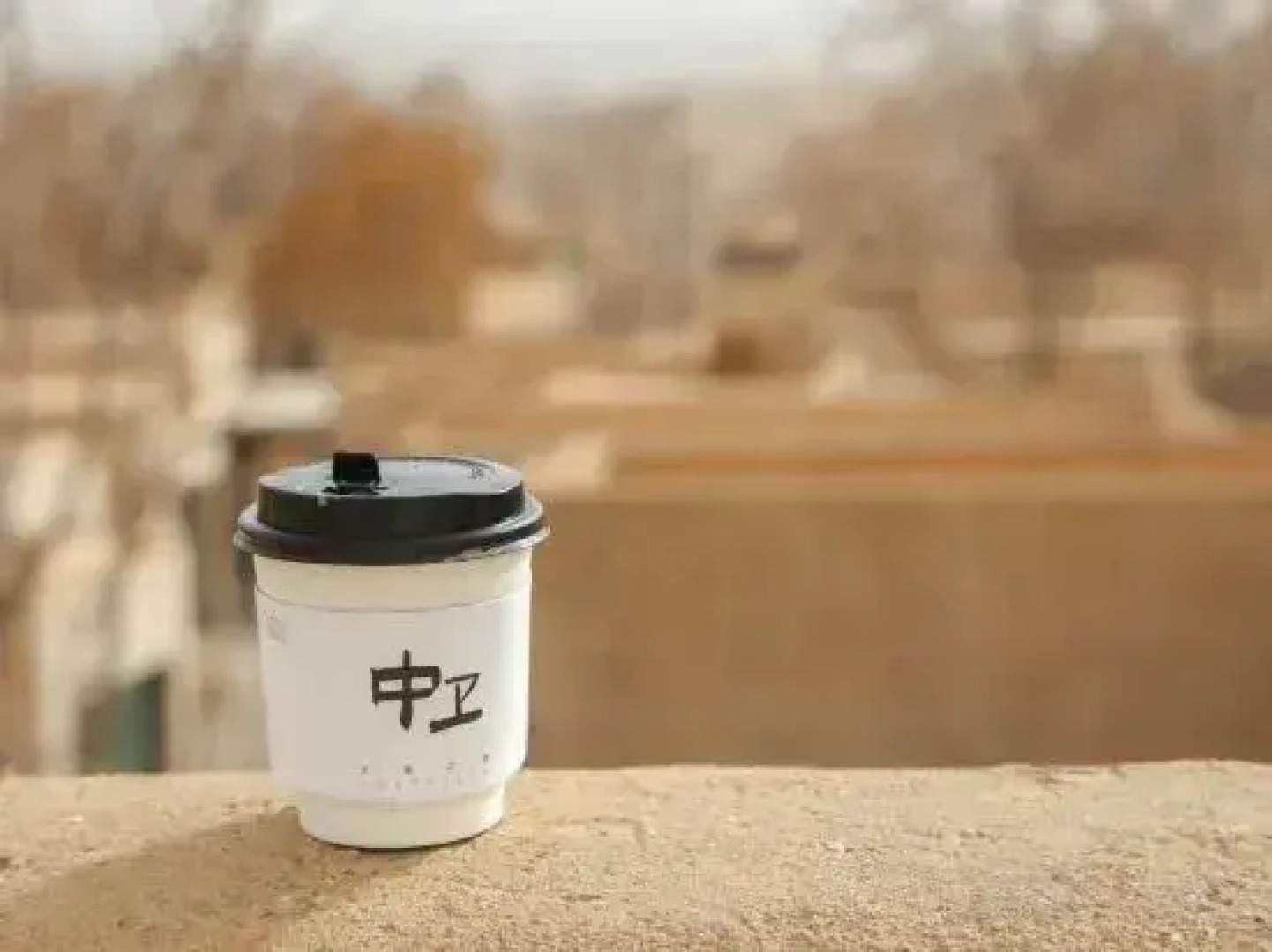 Zhongwei Shariwa Desert B&B