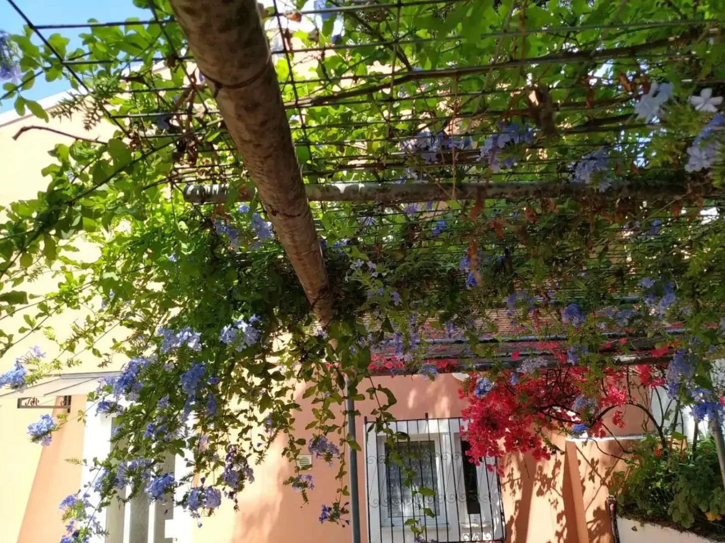 Villa Stefanos apartments