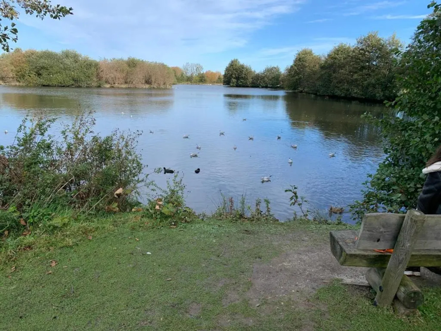 Studio avec rez-de-jardin bord de mer