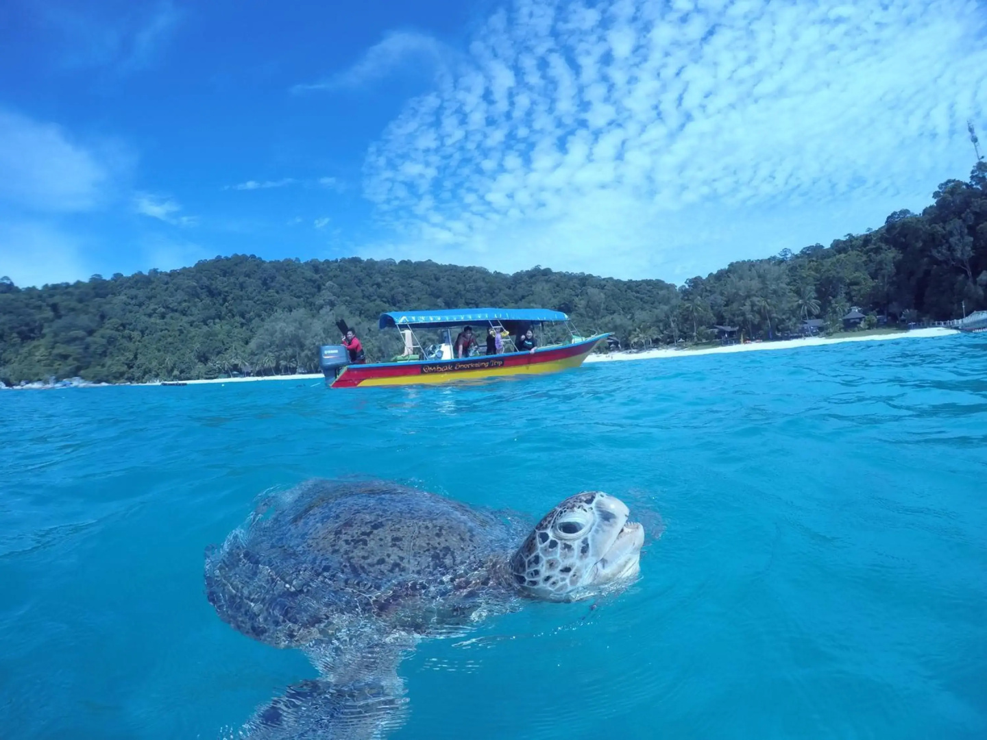 Ombak Dive Resort
