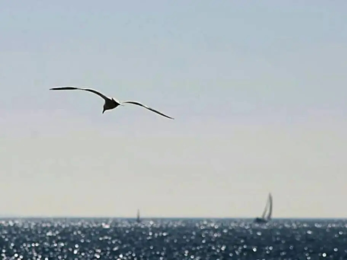 10 Résidence de Port Vril