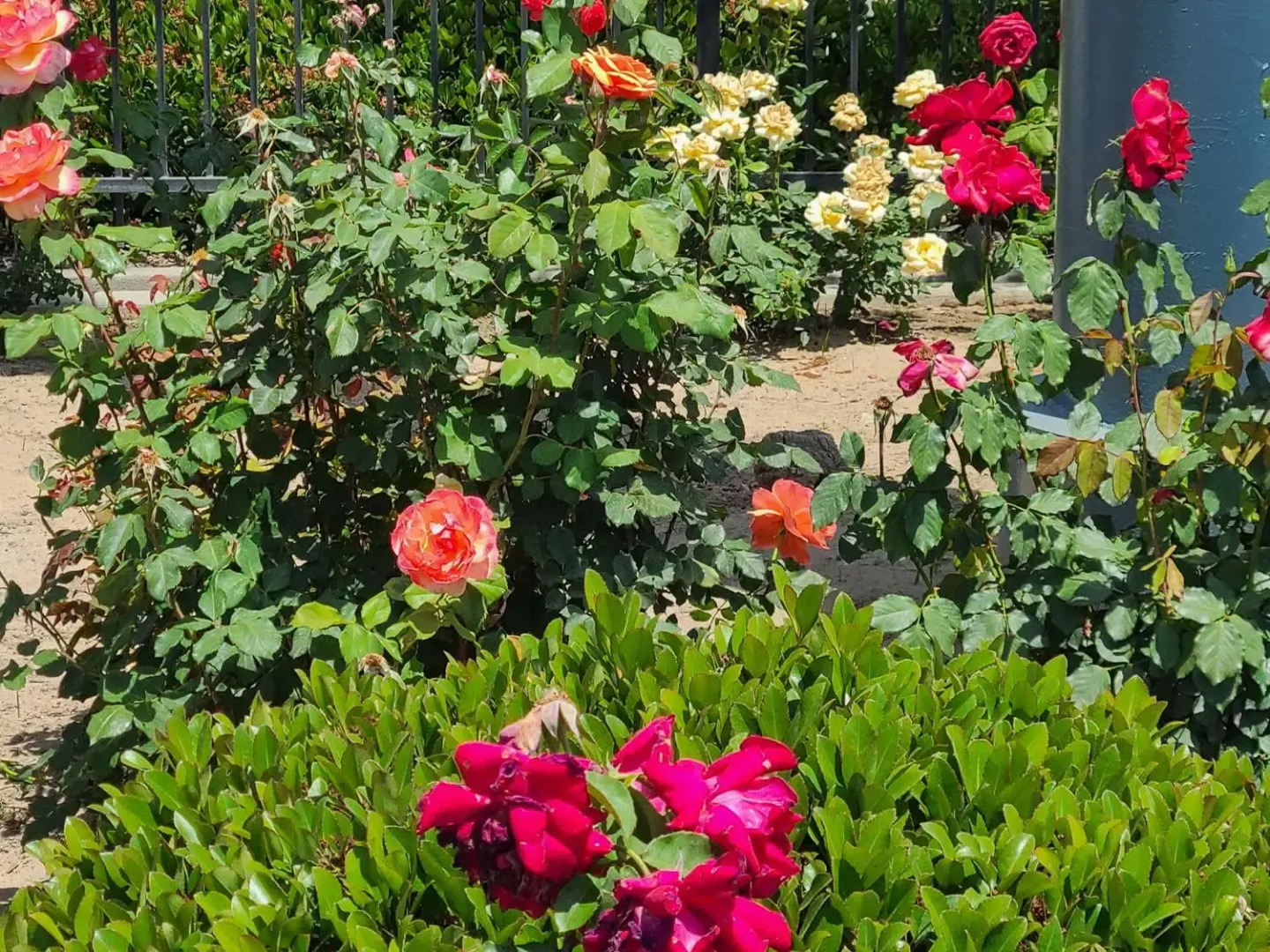 SureStay Hotel by Best Western Chowchilla Yosemite