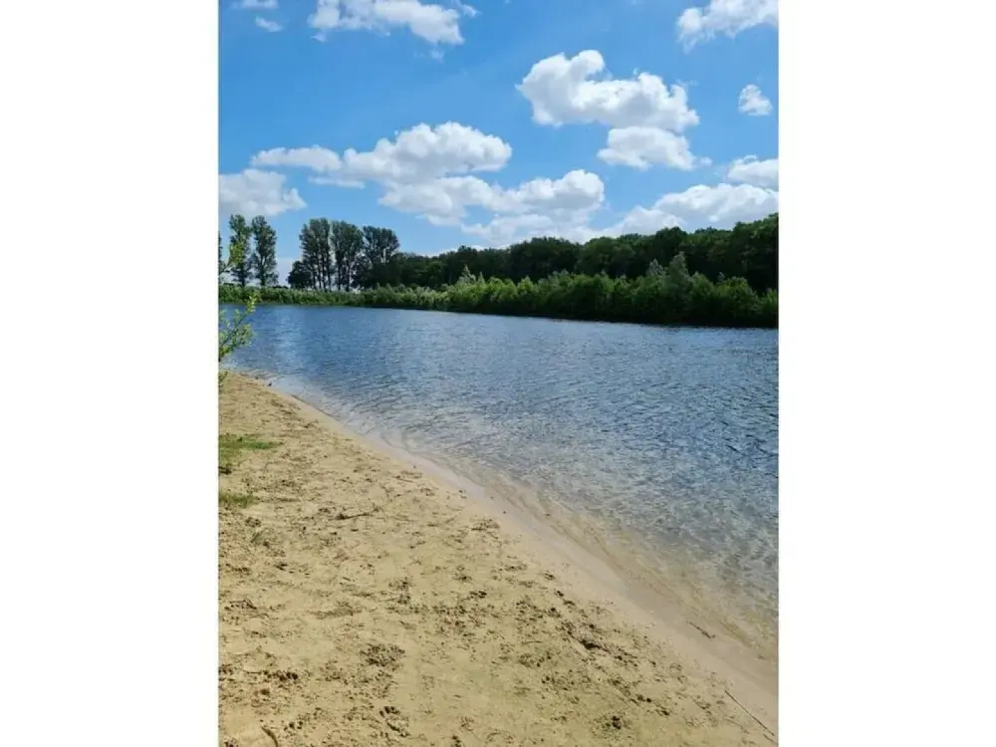 Garden Magic Comfortable Holiday Residence