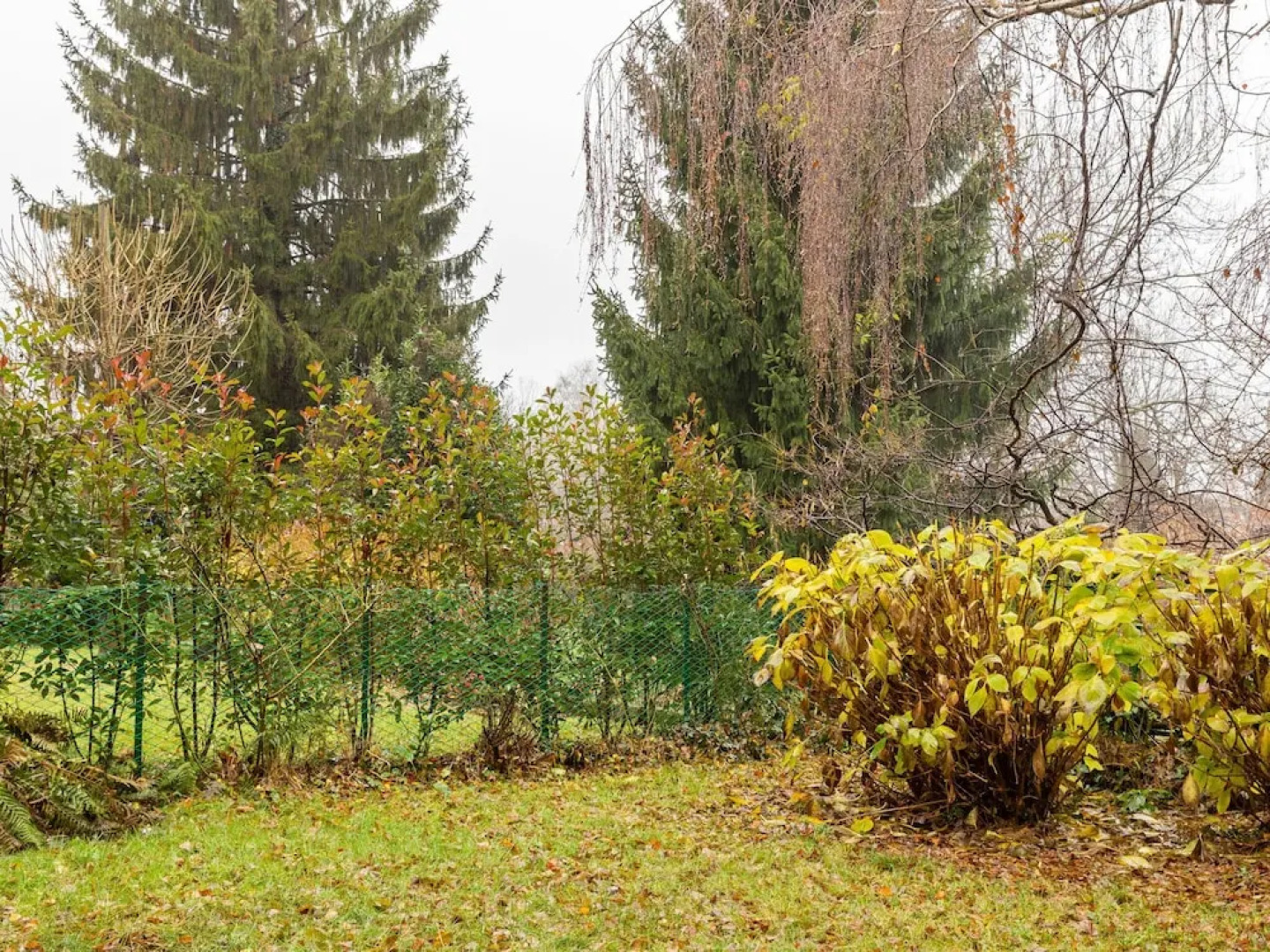 Quaint Chalet in Mondonico With Garden