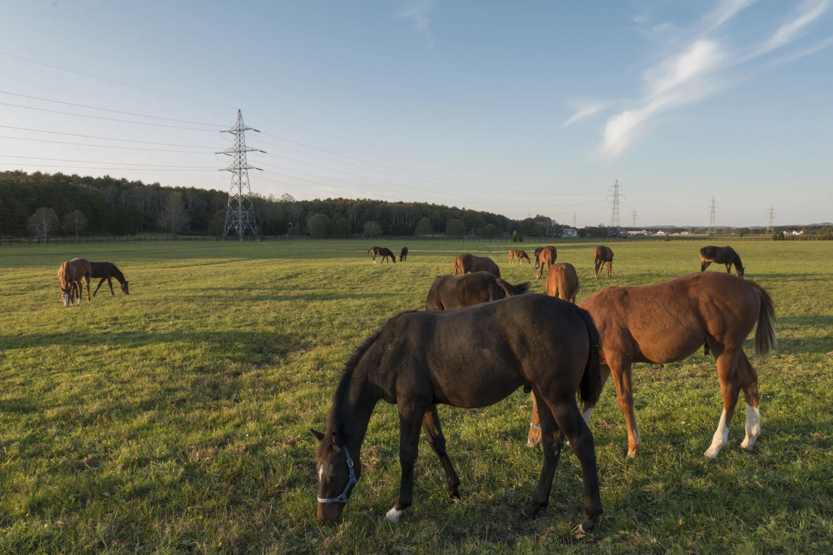 North Gate Inn Abira