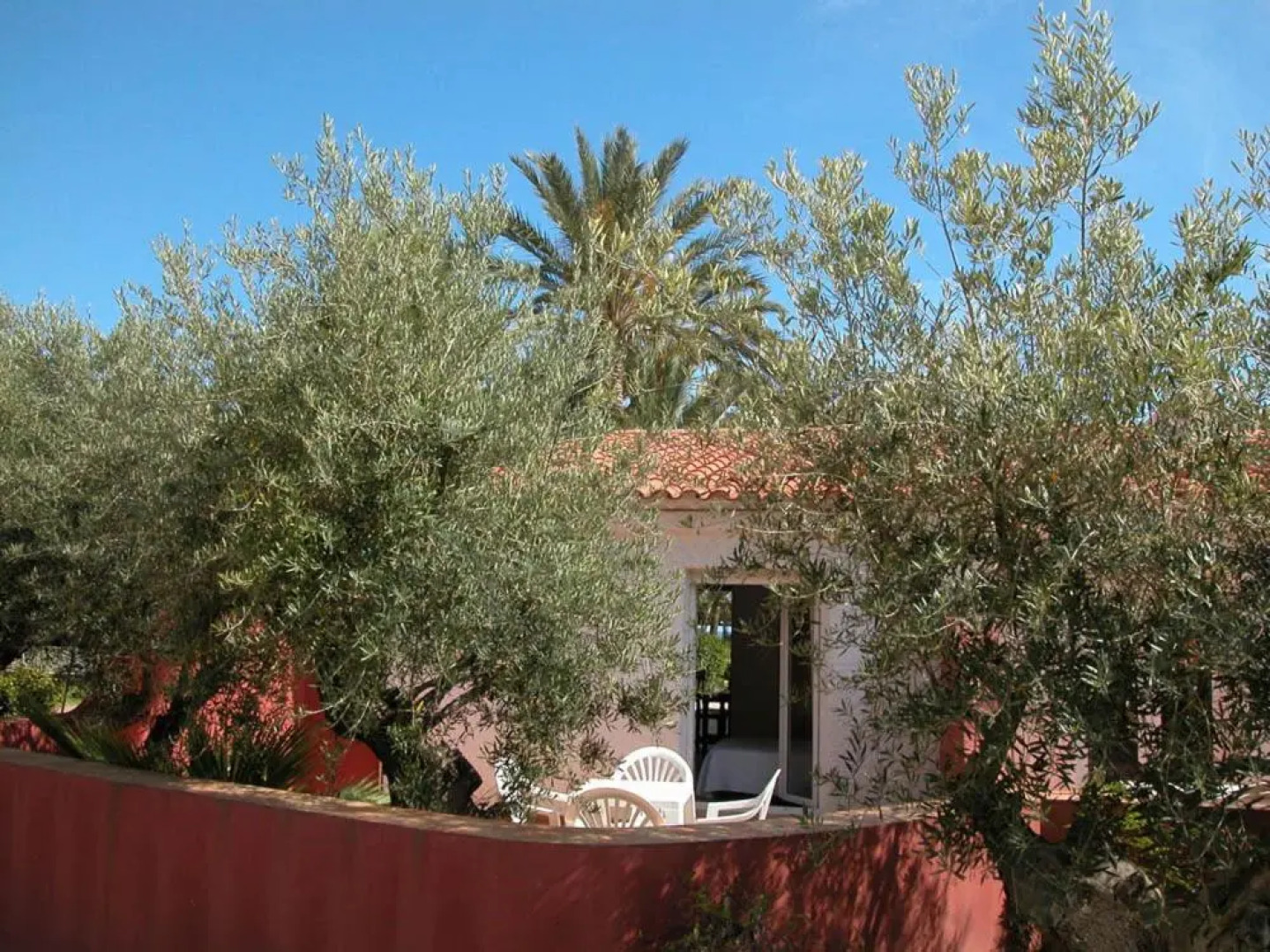 Apartamentos Oasis de las Palmeras