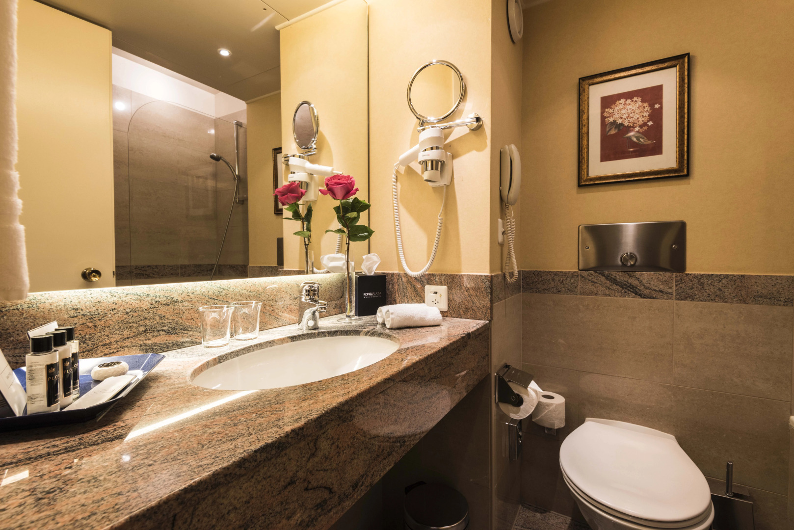 Royal Plaza Montreux