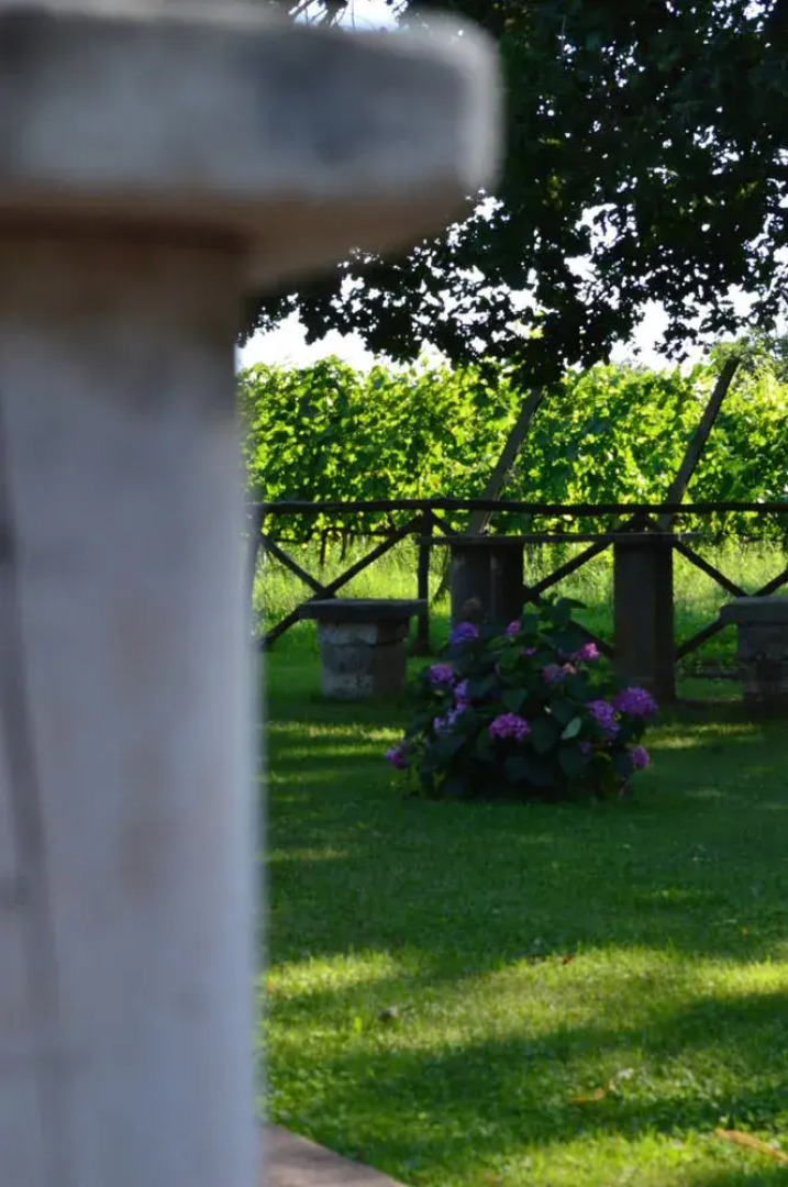 Agriturismo Eco-Bio Villa Vacasio