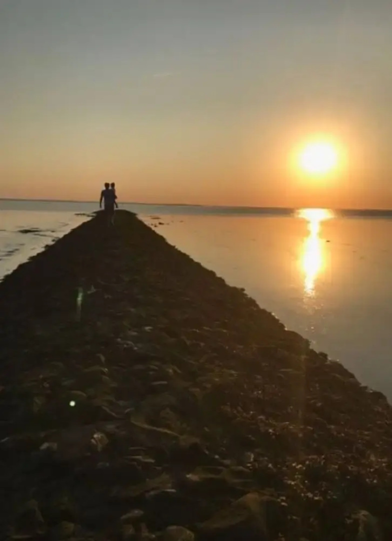 Strandnelke Modern Retreat