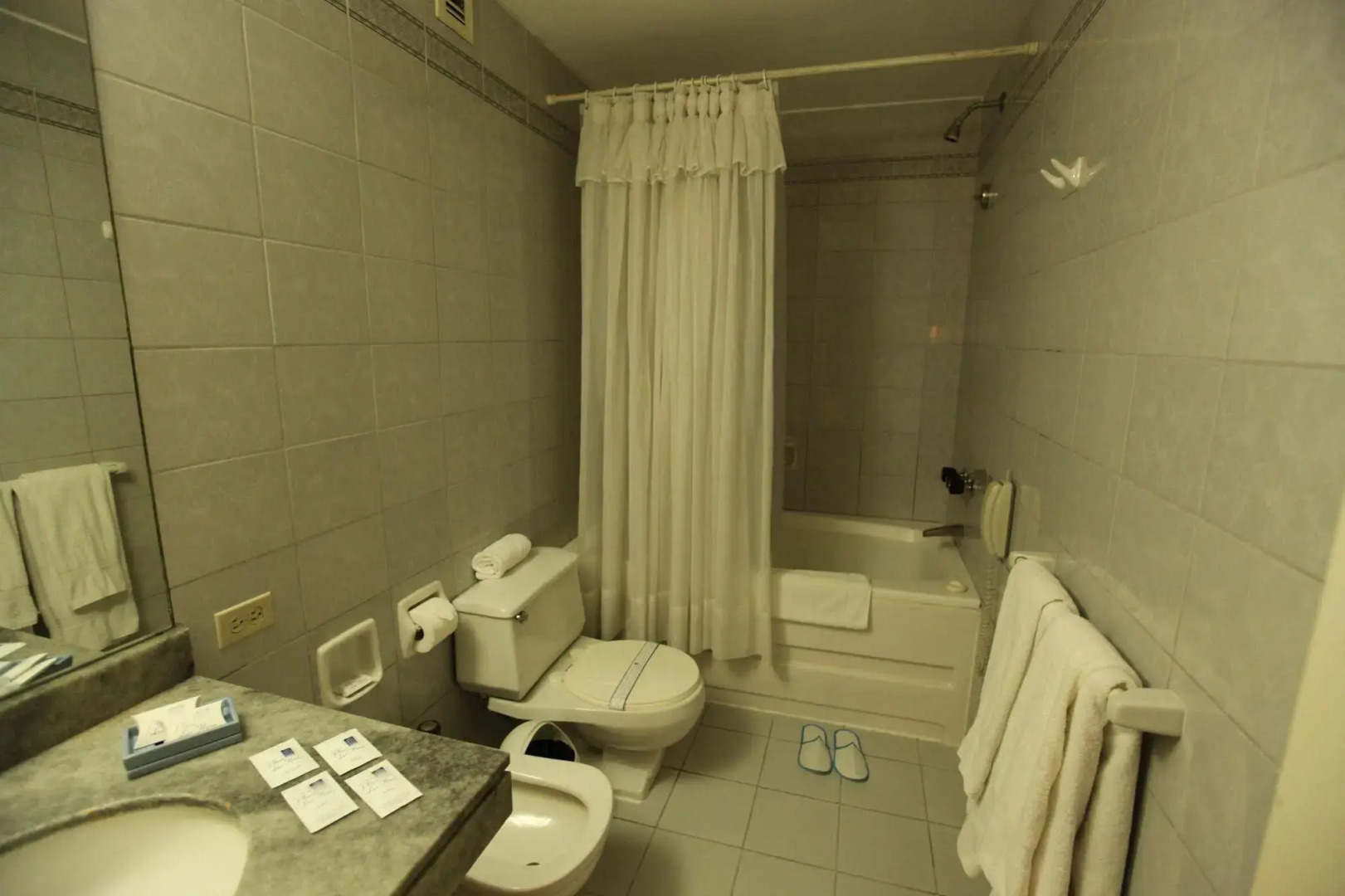 Suites Plaza Las Flores