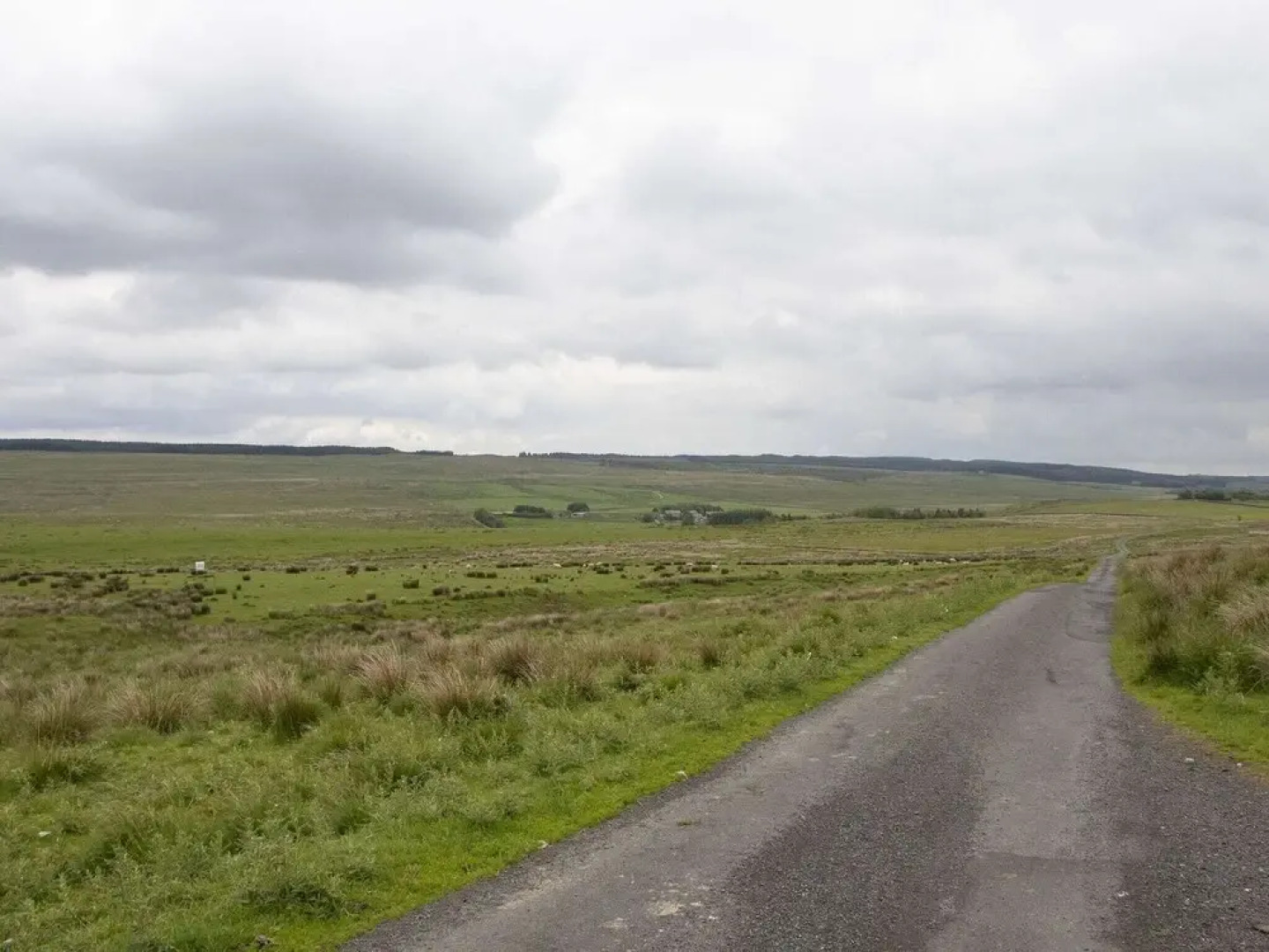 Luxury refurbished Gamekeeper's cottage, 15 acres of woodland by Hadrian's Wall