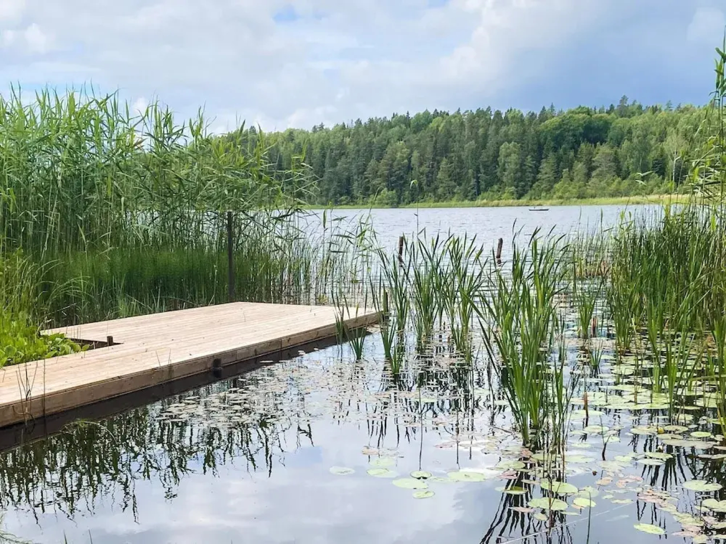 Lakefront Cottage in Torsebo