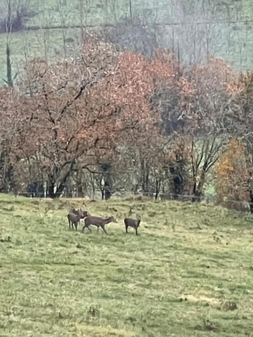 Périgord - Chez Briit