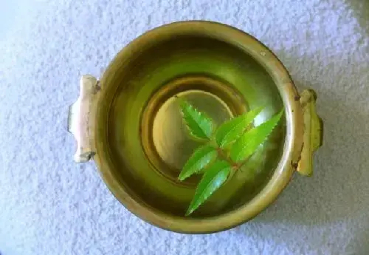 Sea Star Beach Homes