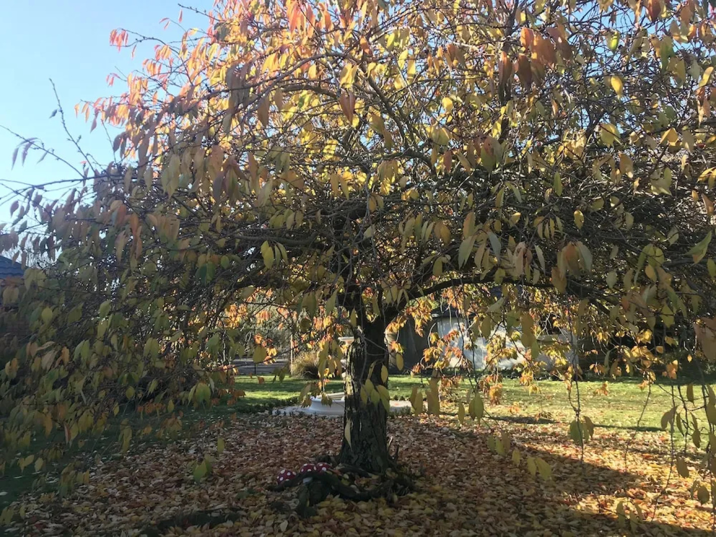 Newlands Bed and Breakfast