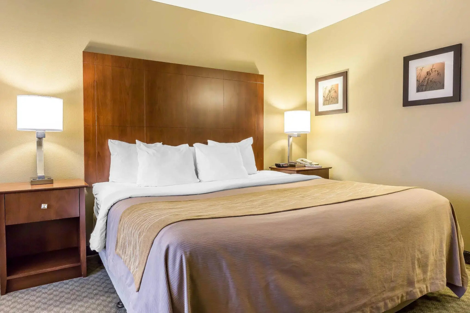 Comfort Inn & Suites