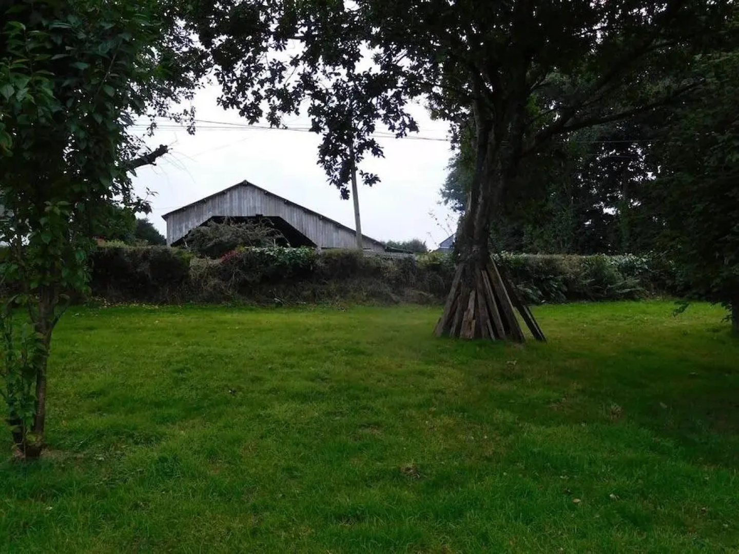 B&B ~ Repos sous les arbres