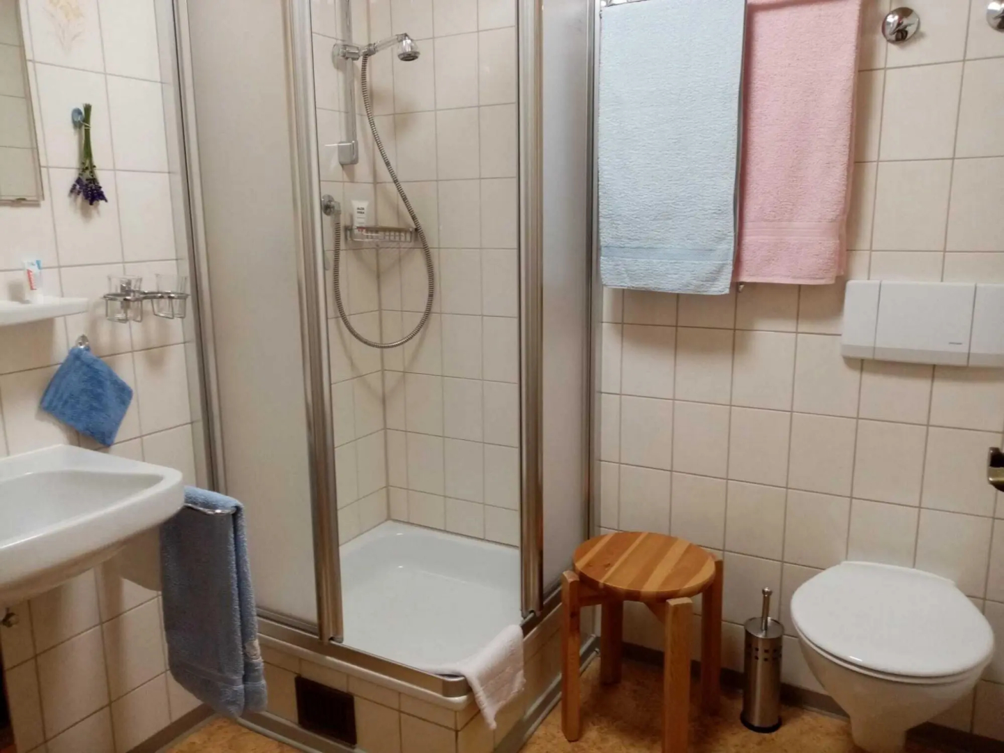 Cosy flat in St. Blasien in the Black Forest with balcony and private terrace