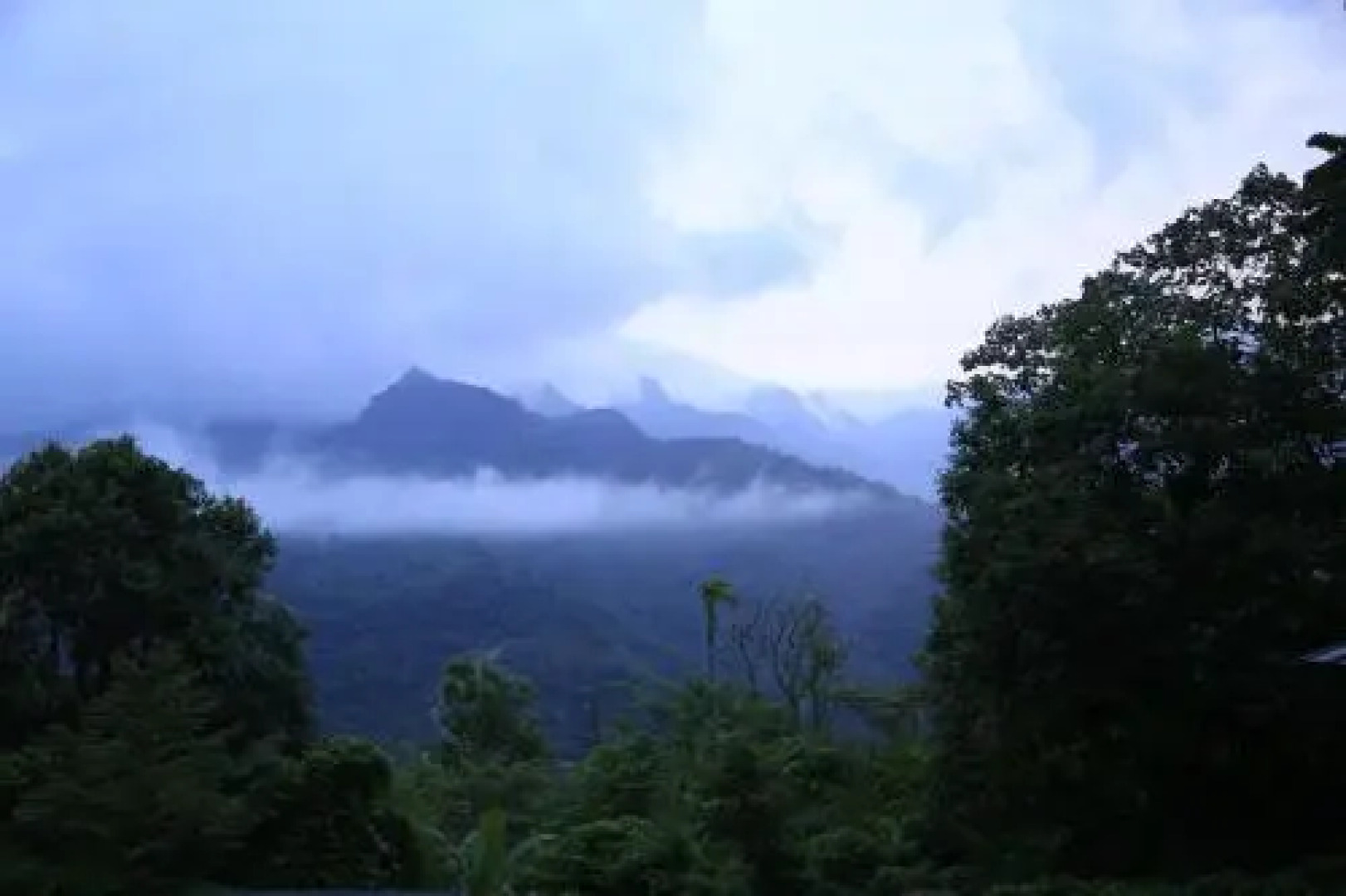 Sattva The Awakening Garden