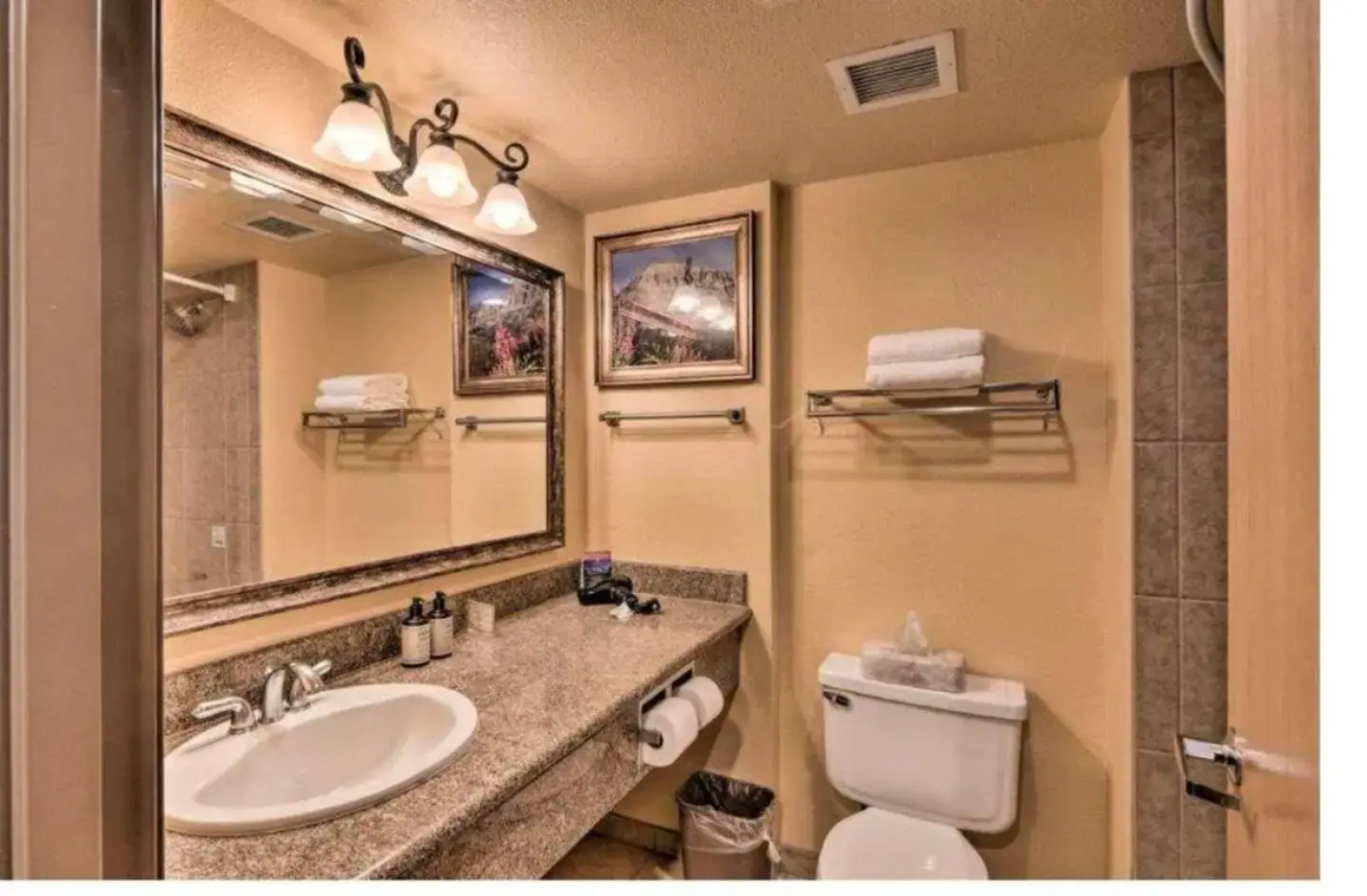 Grand Lodge by Crested Butte Lodging