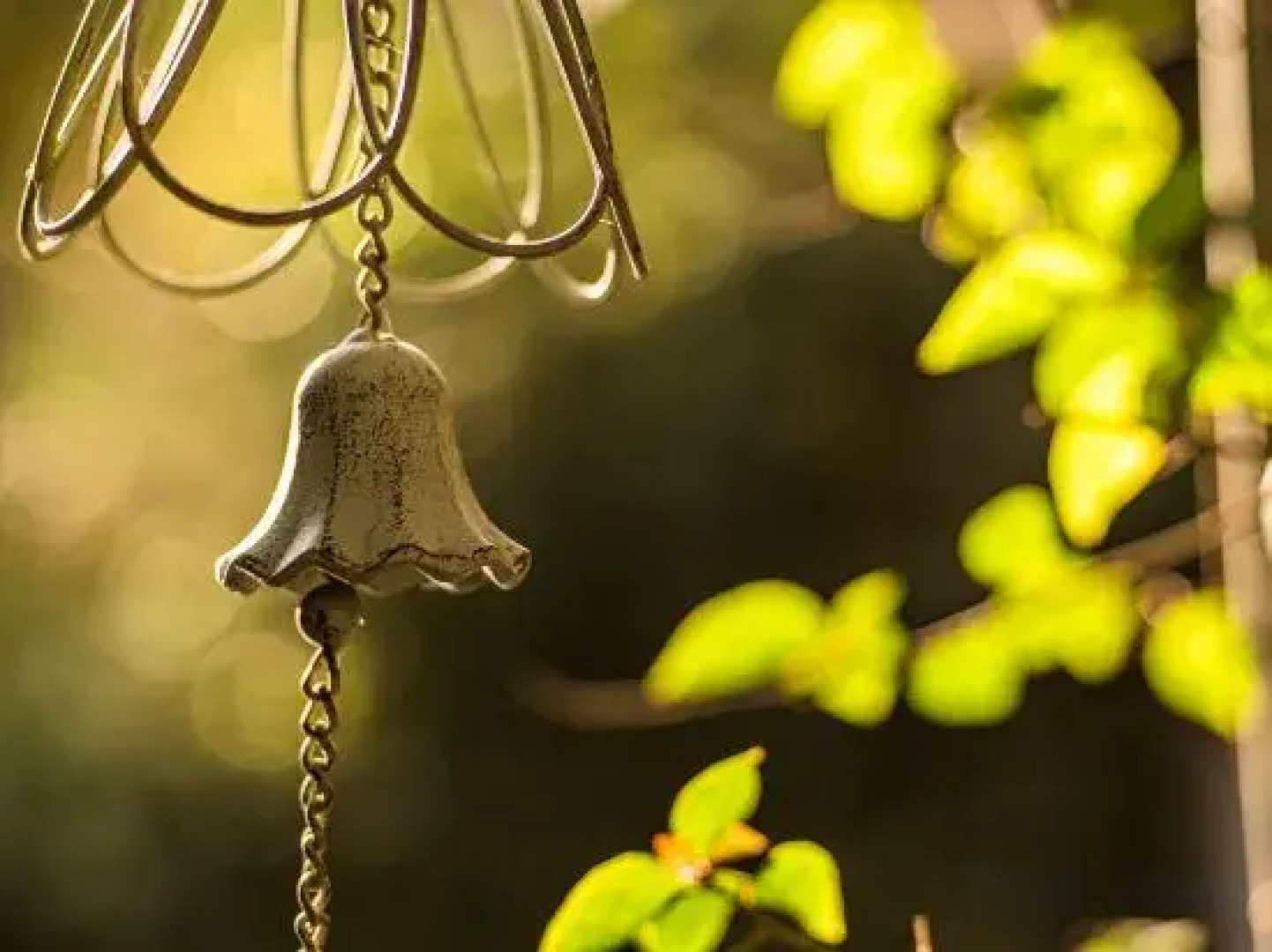 Xishuangbanna Jinghong Zhongtai Homestay (Rainforest Lanshan Branch)