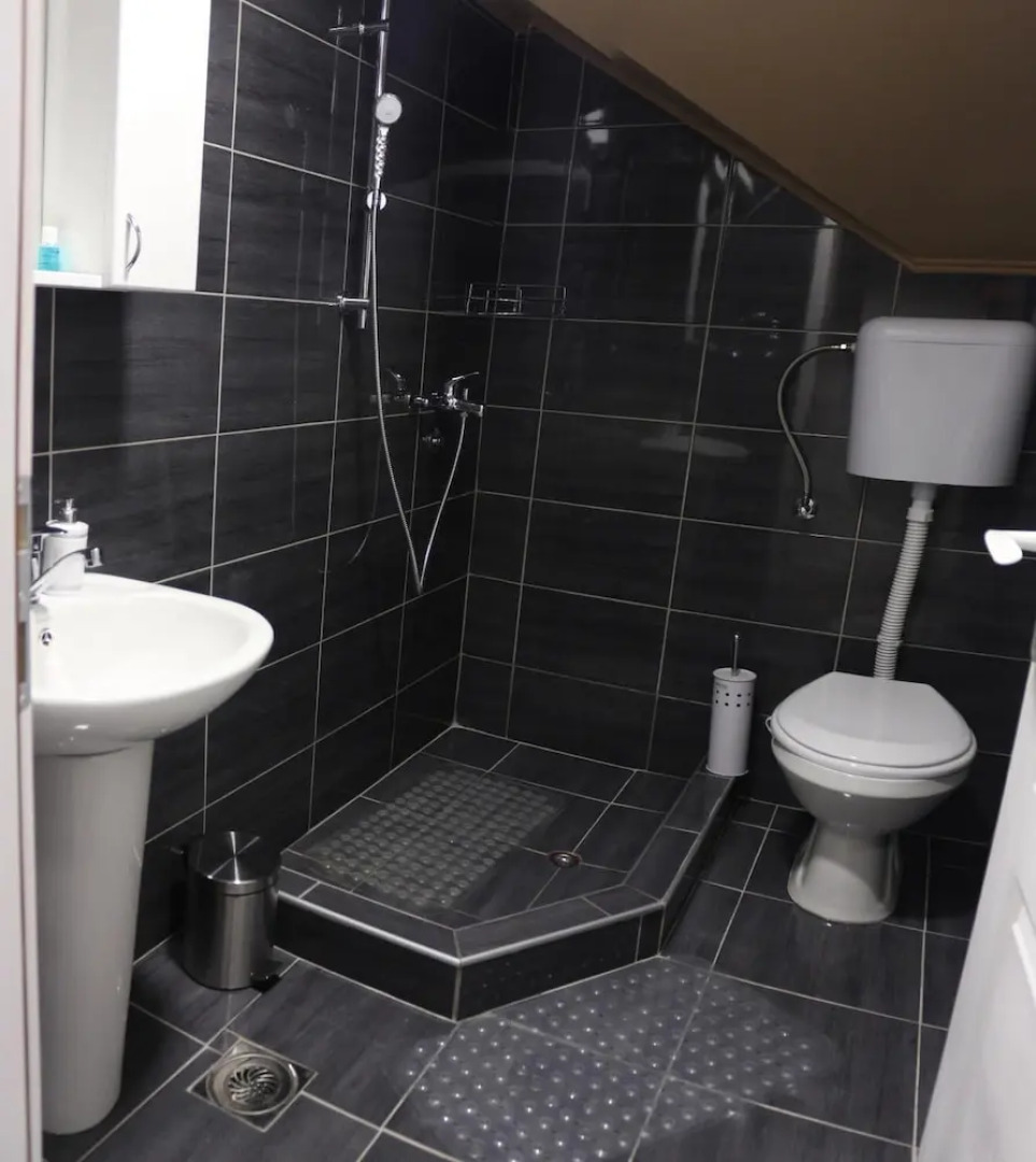 Vila Olivera Niska Banja